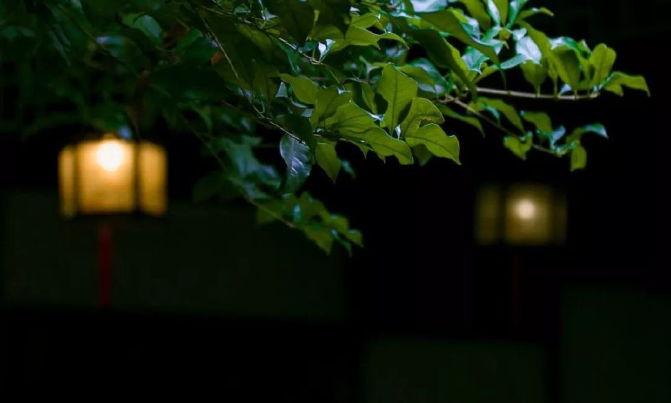 古有“九雅”，忘忧释怀丨私享·仿古