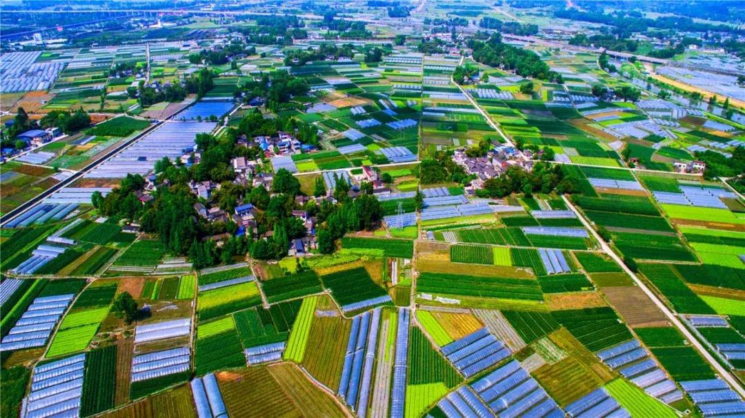 成都新津最新楼盘房价,新津房价一览表