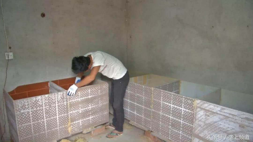 养竹鼠可以发家致富吗,养竹鼠需要大量的竹子吗