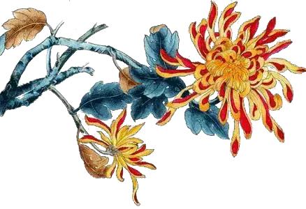 「冬令营」醉美云南·漫步丽江——浩然动力心理成长游学营