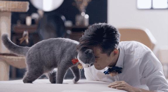 宠物皮肤病科普和治疗,宠物医生奇葩问题