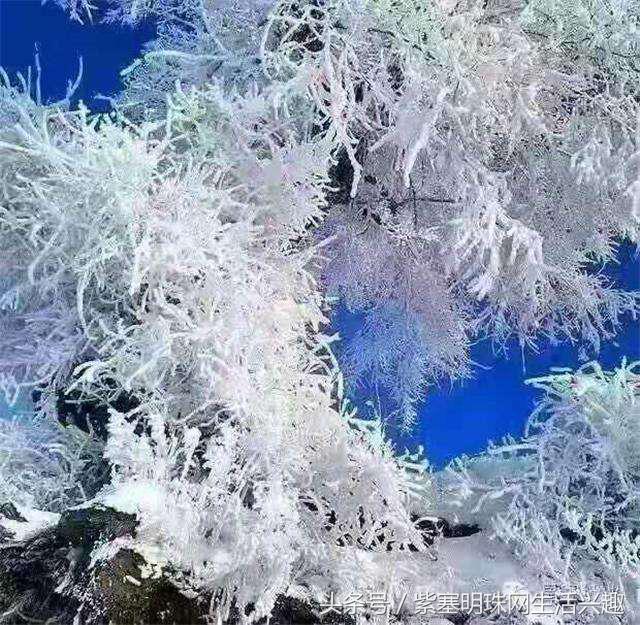 紫塞明珠农家游｜吉林雾凇岛八旗驿站，探索夜看雾，晨看挂的秘密