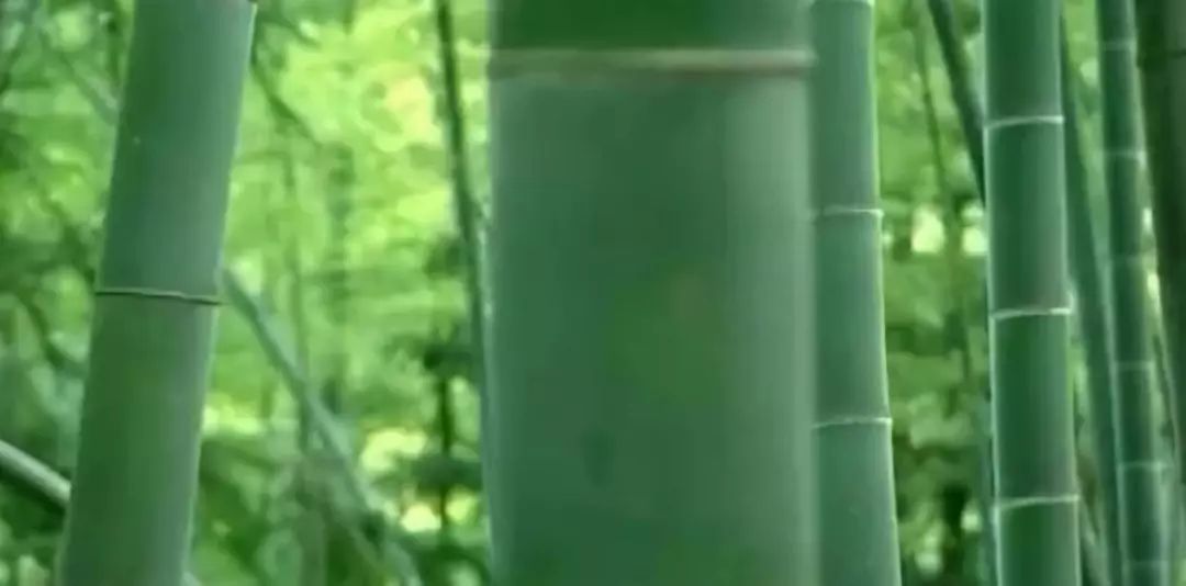 荣誉｜海人科技获评湖南省质量信用AA*级A**企业