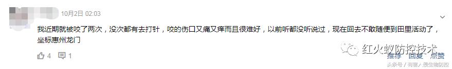 被红火蚁咬的治疗方法,被红火蚁咬后怎么处理偏方