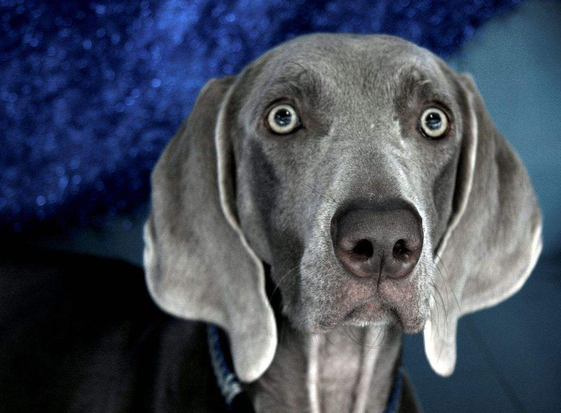 有些事只怪自己懂得太晚,有些事情能忍但有些事情绝不能忍