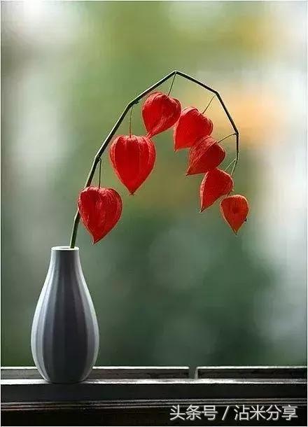 句句精辟的心灵鸡汤经典语录,心灵鸡汤励志经典句子句句暖心