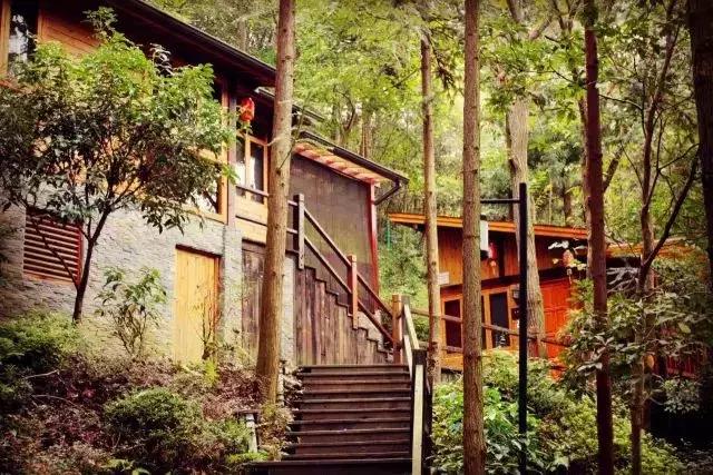 温泉度假酒店江浙沪最值得打卡,江浙沪旅游10佳民宿推荐