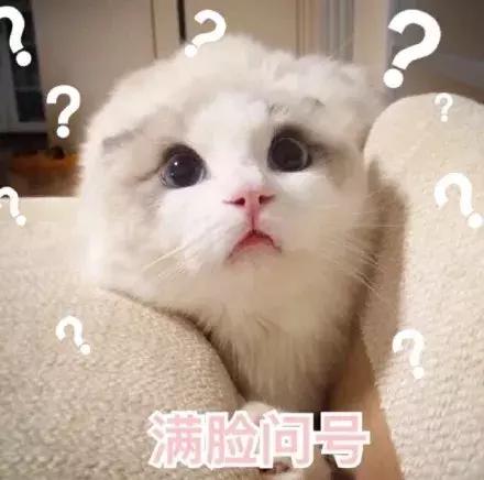 中国锦鲤活动在哪里,18年的锦鲤活动有哪些