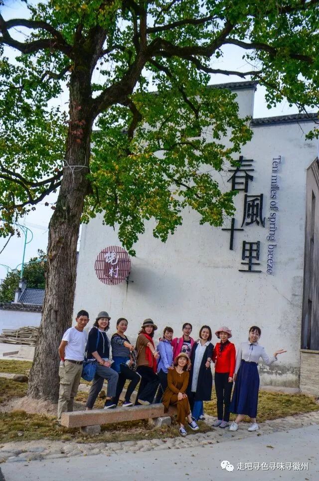 竹海扬波，溪山飞瀑｜心花开放在幽篁里