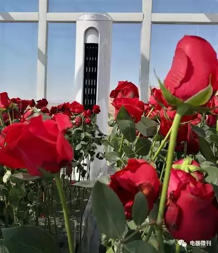 奥克斯空调质量怎么样,海尔奥克斯空调哪个好