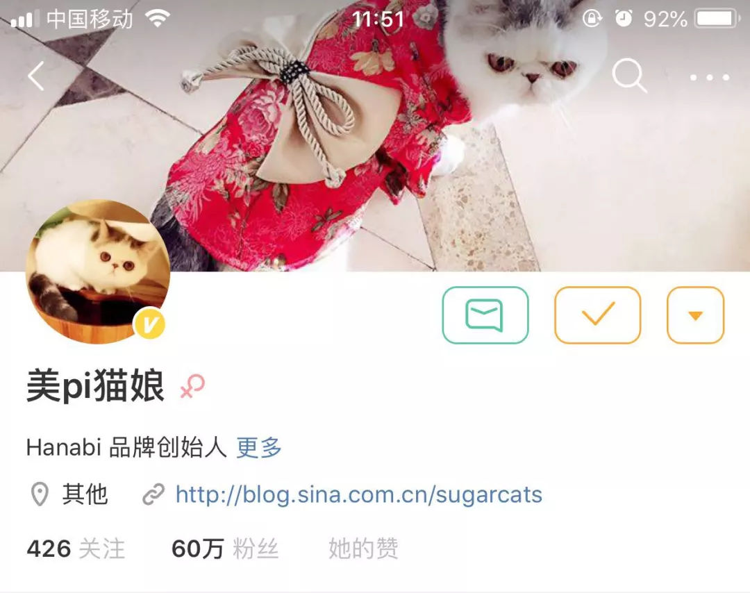网红猫娘造假视频,猫娘售假完整版
