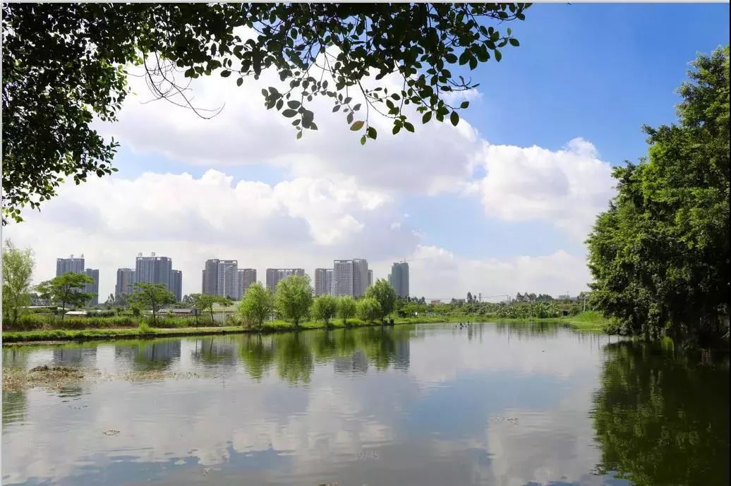 乡村游秋天,乡村旅游探寻真实的乡土风情