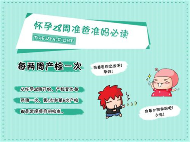 孕七个多月如何判断胎儿大小,育儿知识宝宝是怎么生出来的