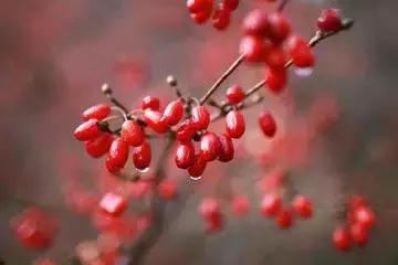 重阳节照顾老人的最佳方法,重阳节为老年人普及养生知识