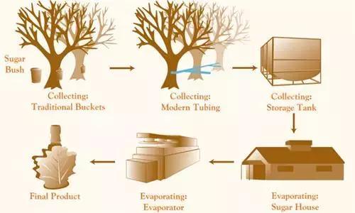 在加拿大看病不花钱,你不知道的加拿大保健品