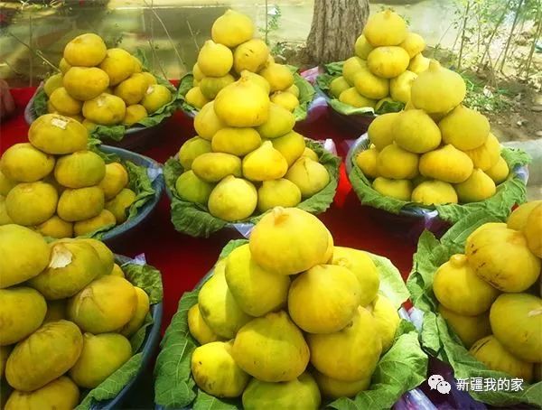 *疆新**各地“地域拖油瓶”出炉！对不起，我又拖后腿了…………