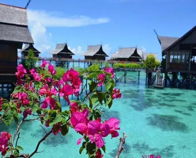 9次带队、36次飞行、189人的深度体验——史上最全仙本那攻略