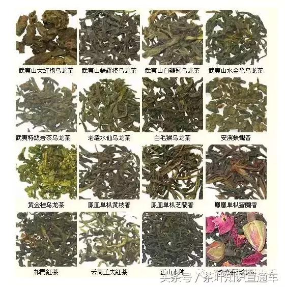 中国茶分类红茶绿茶花草茶养生茶,中国六大类茶排名