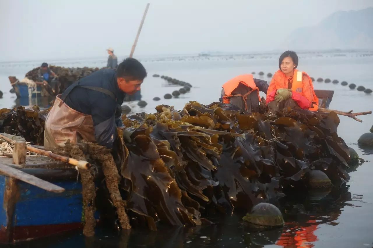 芝罘岛秦始皇,长岛最原始的岛