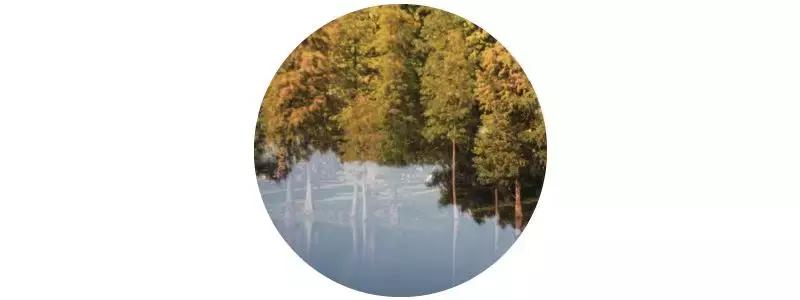 南京汤山温泉天气,汤山风景区秋天