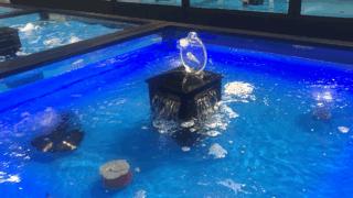 不输三亚第一市场！合肥这家店的波龙海胆帝王蟹……简直太zán了