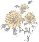 九九重阳节浓浓敬老情音乐,九九重阳节，浓浓敬老情