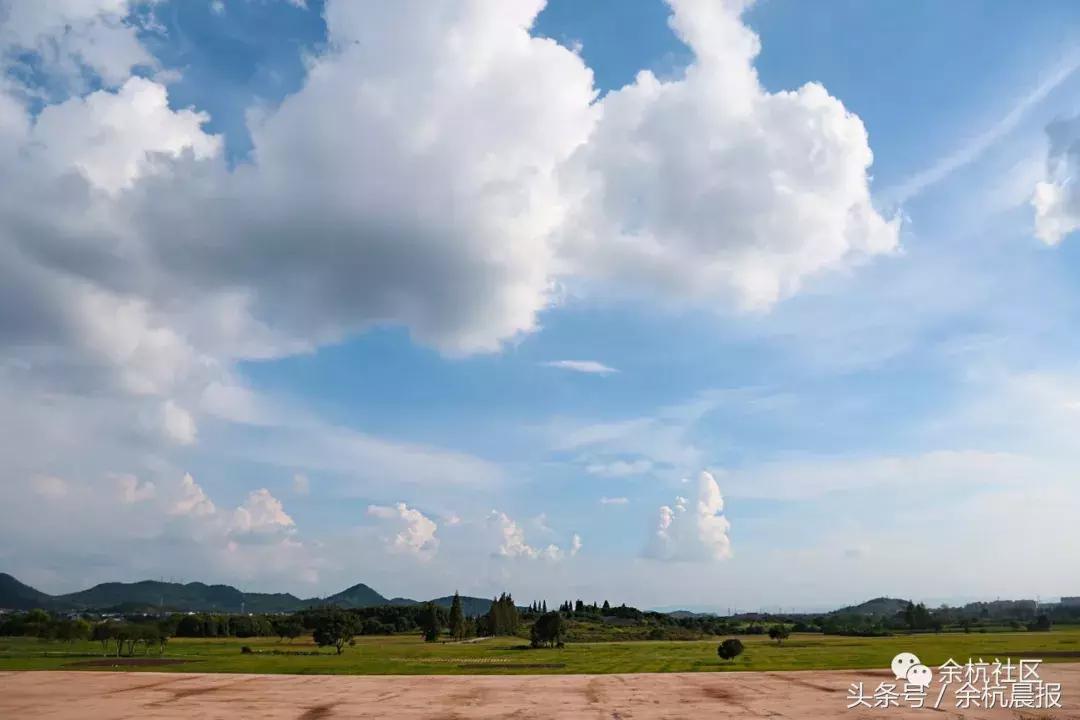 9090000㎡！余杭新增一大型公园，1299个足球场大！