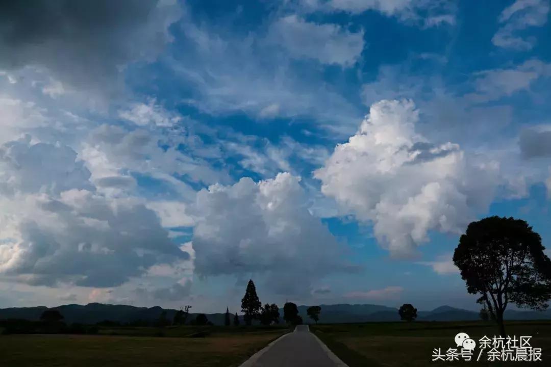 9090000㎡！余杭新增一大型公园，1299个足球场大！