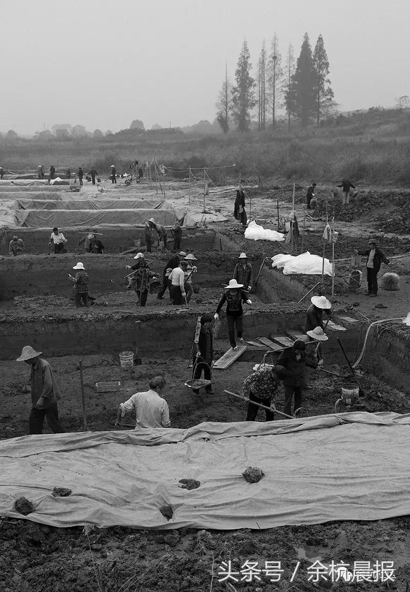 9090000㎡！余杭新增一大型公园，1299个足球场大！