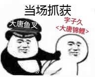 剑网三2018新年奖励,剑网3锦鲤