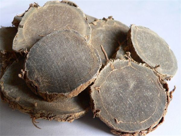 中药材莪术图片大全,中药材莪术栽种技术