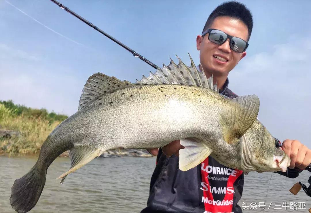 夏季如何路亚大口黑鲈,ewe路亚海鲈