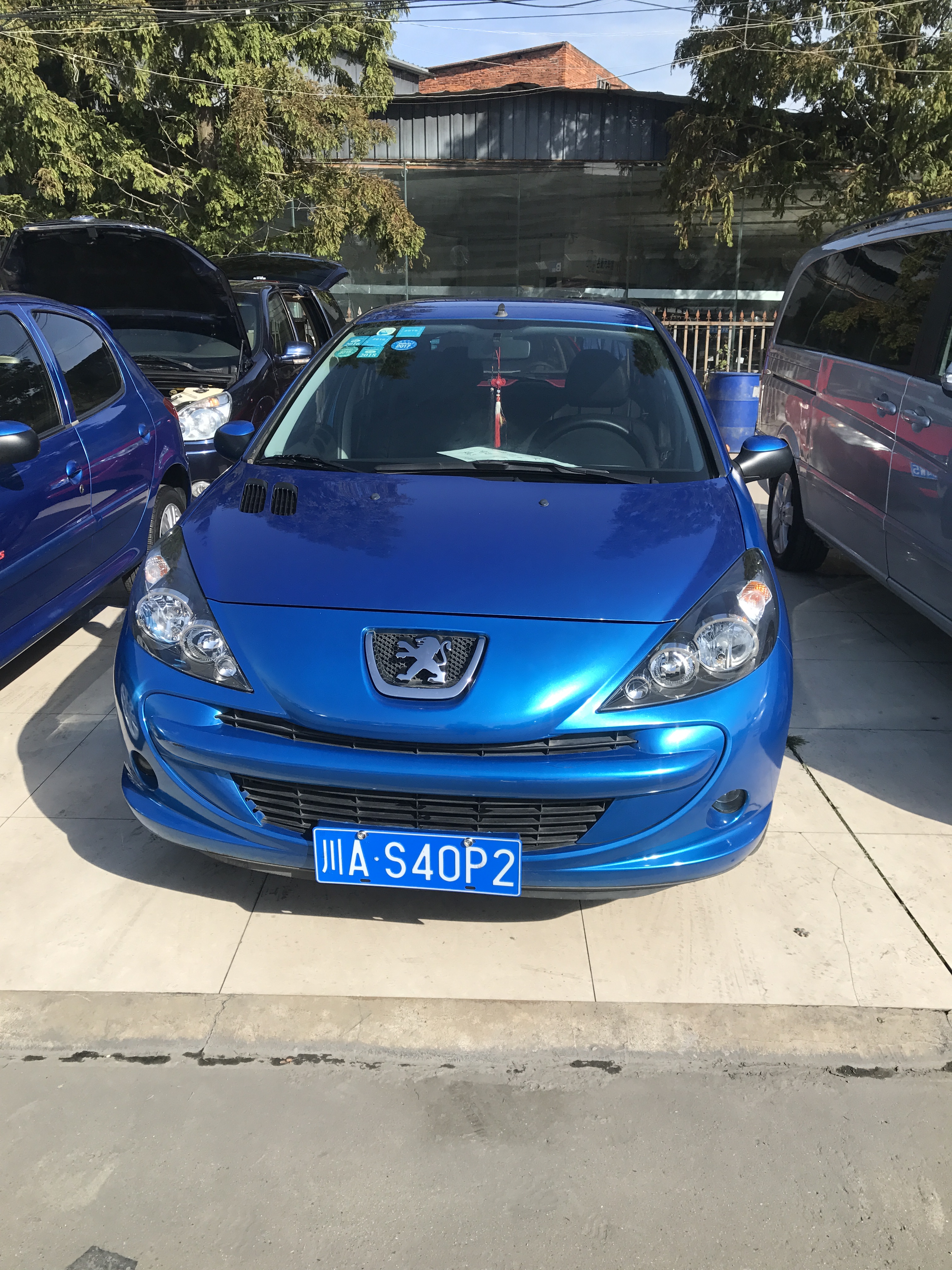 「淘车日记」两万元练手系列-小狮子的故事