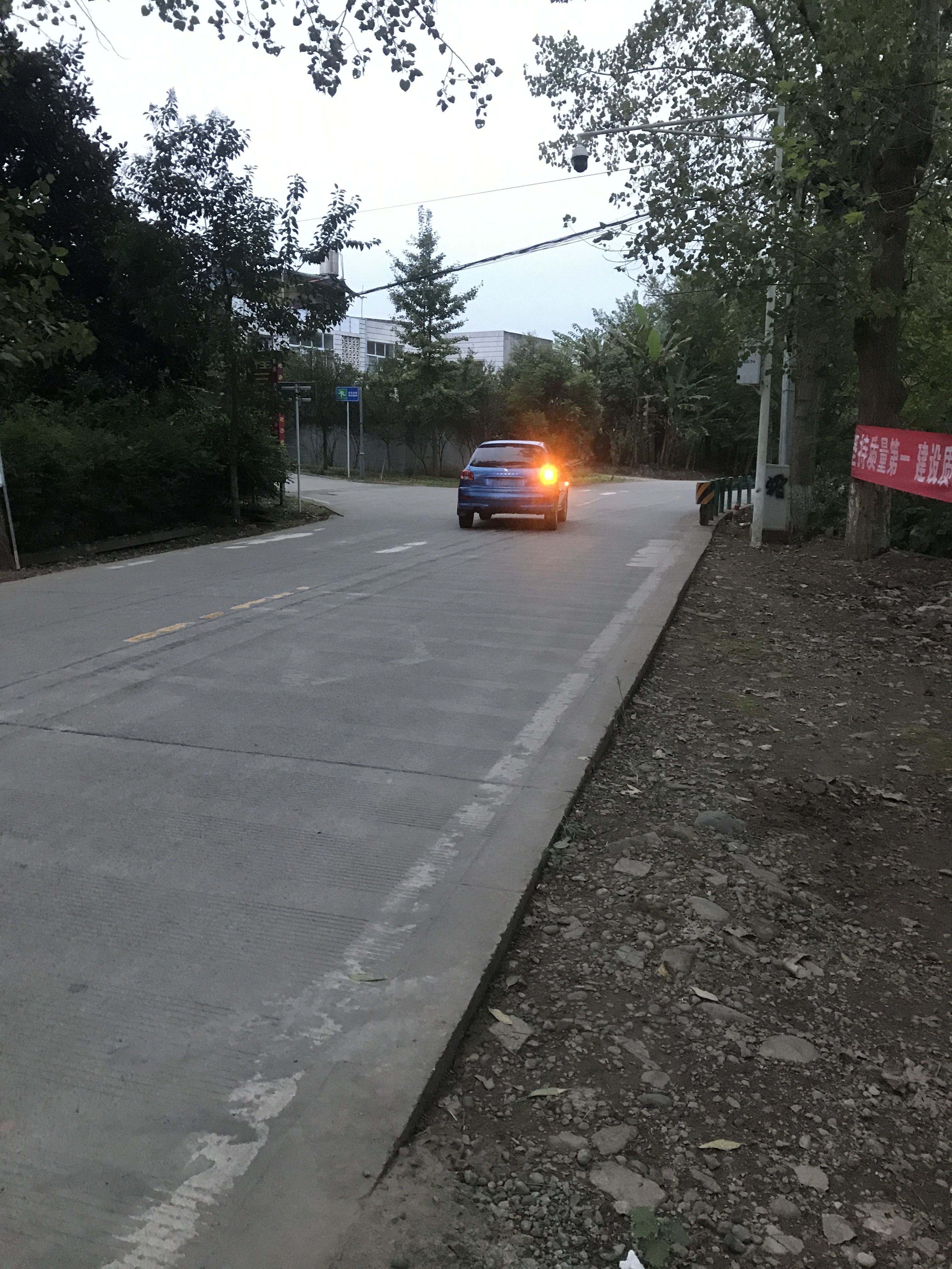 「淘车日记」两万元练手系列-小狮子的故事