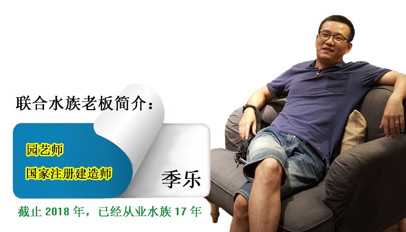 观赏鱼饲料好坏对鱼的影响,观赏鱼买什么饲料最好