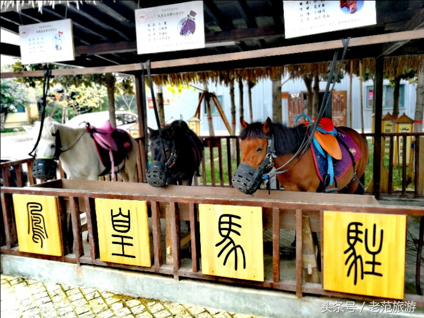 赏山赏水赏风景,凤凰山旅游温泉
