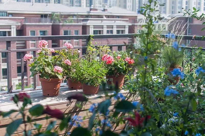 58平米老破房神级爆改,28平米老房爆改精致四居后续