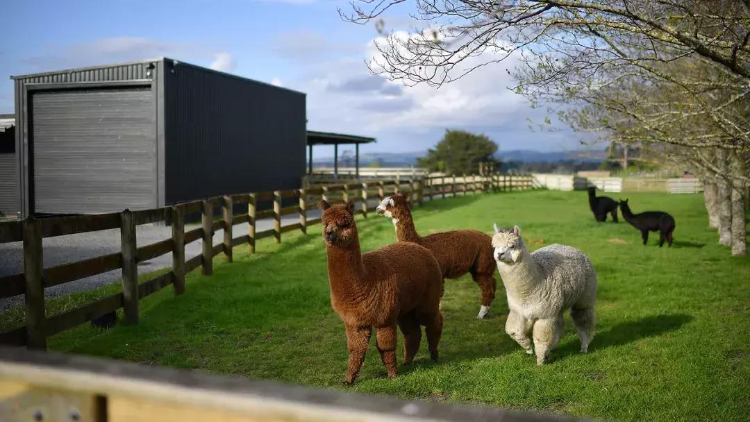 有超大草坪的庄园,大型生态农场庄园10万亩
