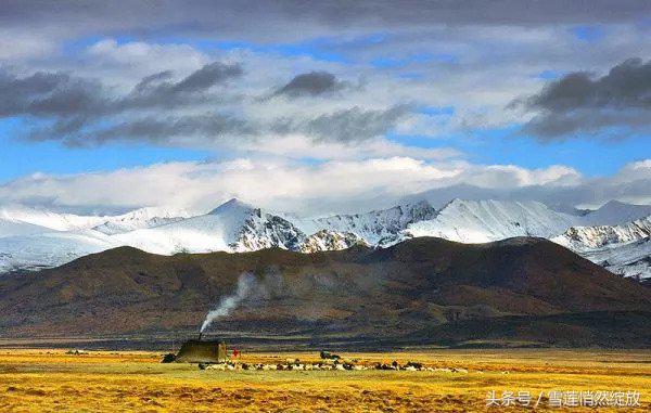 上海特产必买清单一览表,各地特产礼品一览表