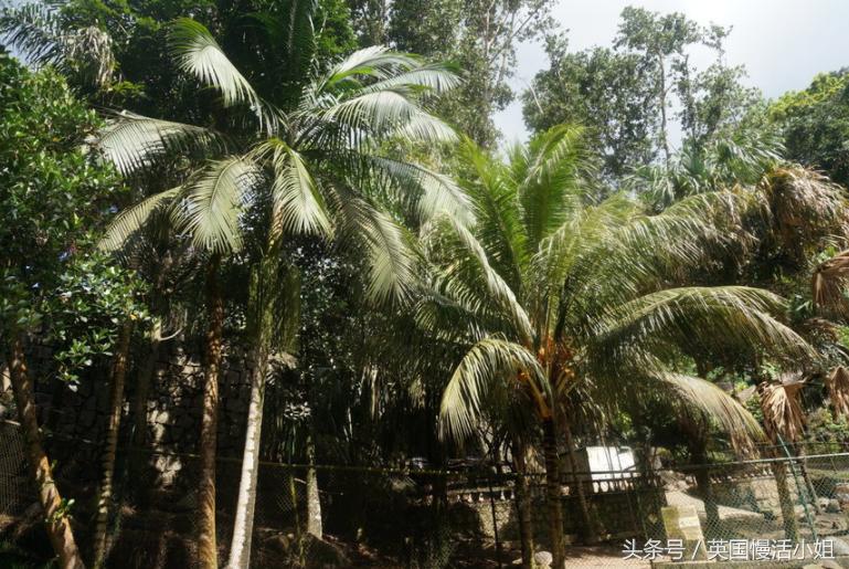 塞舌尔旅游自由行推荐,塞舌尔旅游自由行攻略