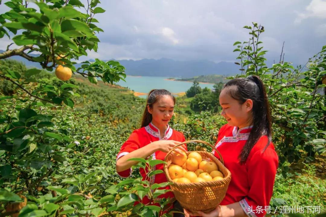 回忆连州,连州在哪里呀