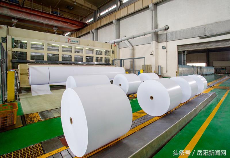 岳阳林纸是不是最大造纸企业,岳阳林纸工厂