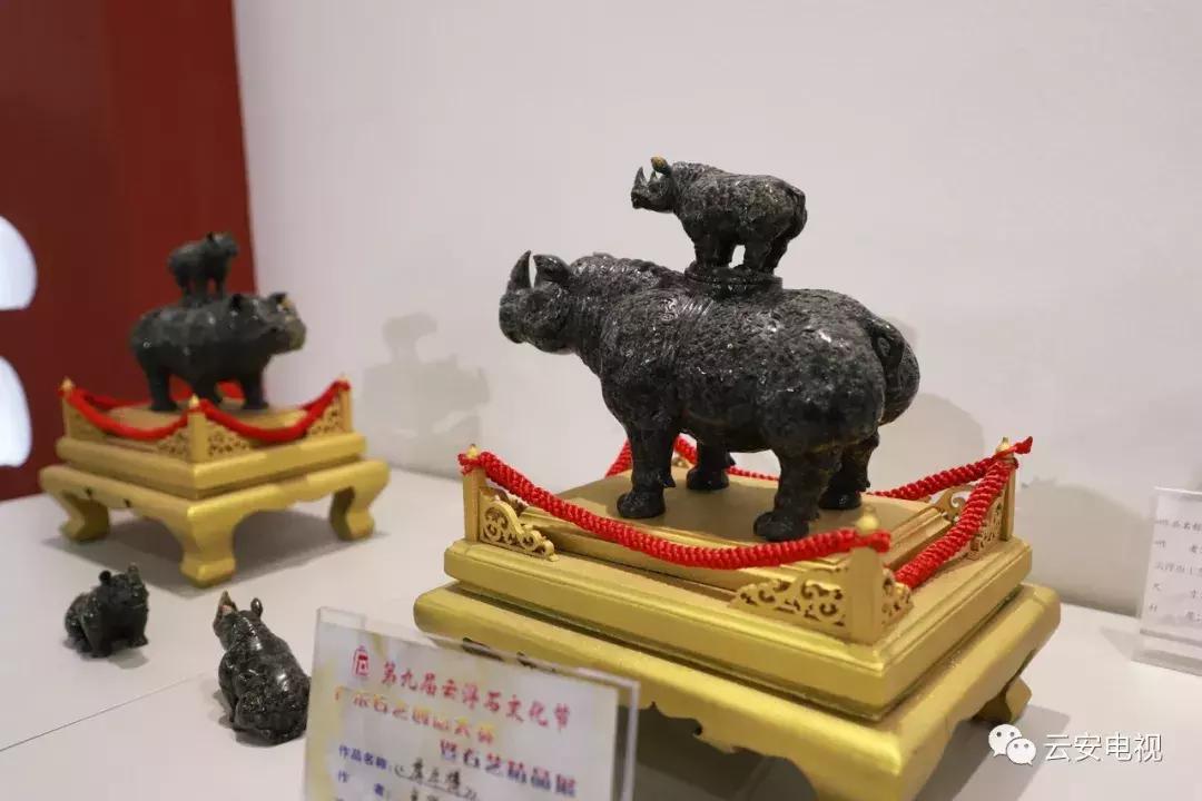 叹为观止发布会,顶级奇石展播视频