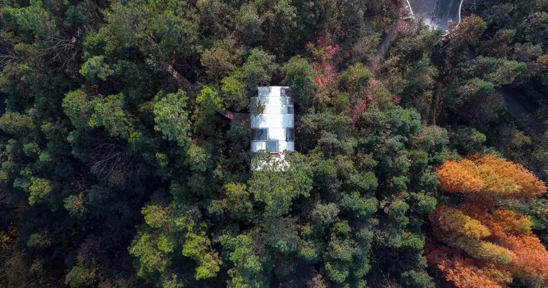 这片媲美京都的红叶之森只藏15栋梦幻树屋，杭州1.5h直达！