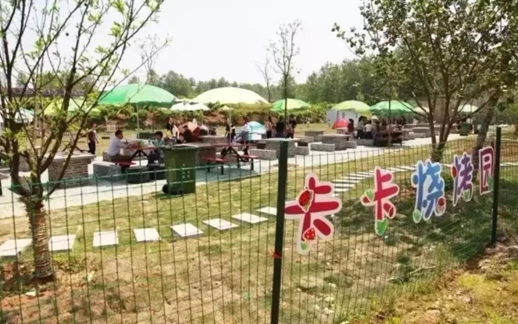 亲子网红庄园,网红亲子农庄在哪里