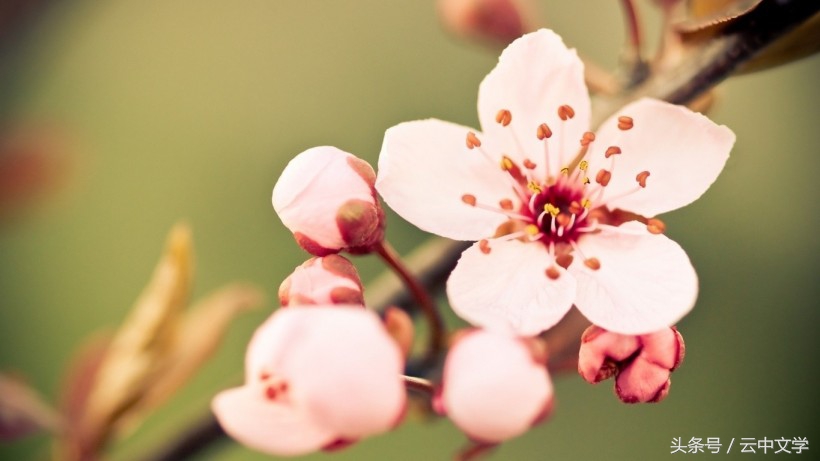 中考修改病句的方法和技巧,中考语文病句辨析与修改复习视频