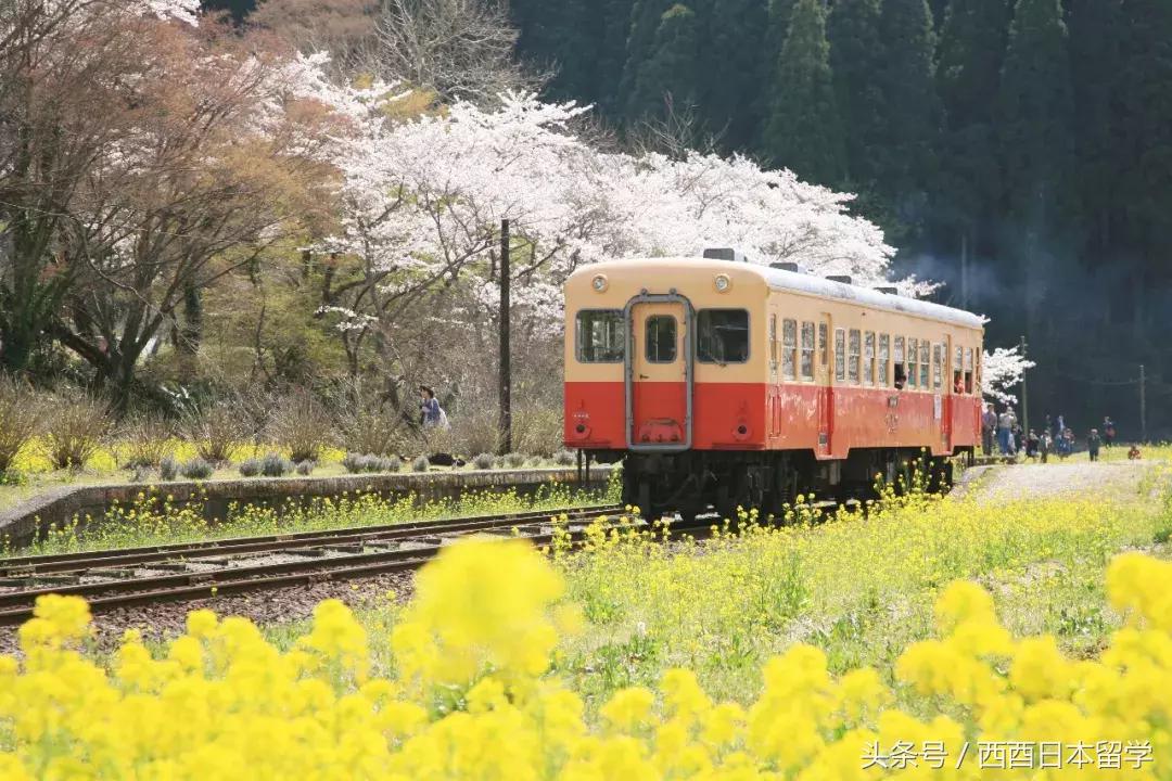 小偷家族日本大原海水浴场取景,小偷家族特写镜头