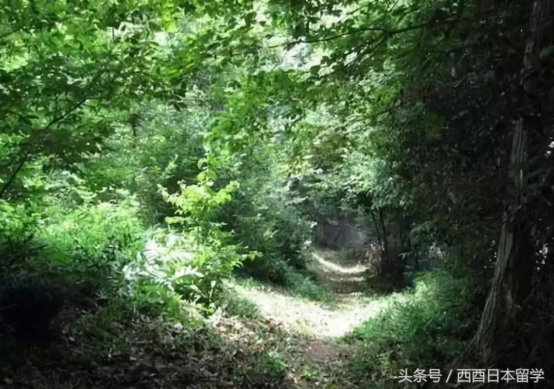 小偷家族日本大原海水浴场取景,小偷家族特写镜头