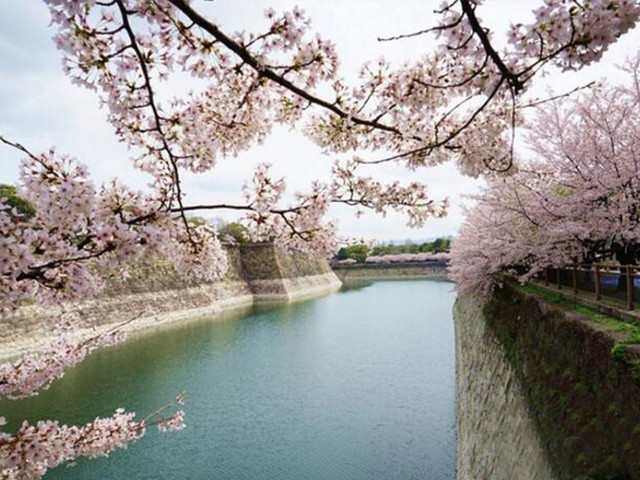 中国人去日本见啥买啥，而日本人在中国却只喜欢这两样
