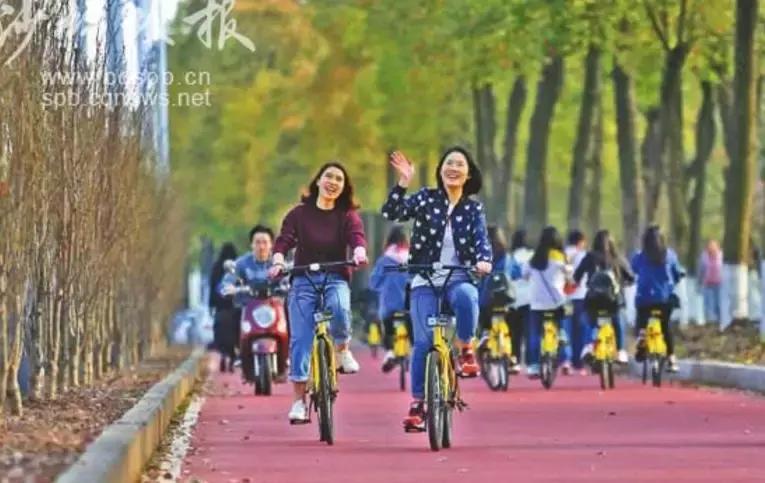 沙坪坝今日关注,沙坪坝人